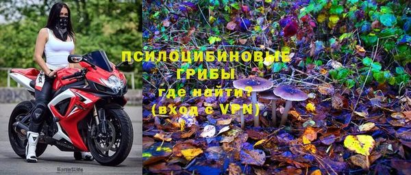 сатива Новый Уренгой