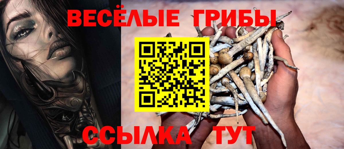 Псилоцибиновые грибы Cubensis Ижевск