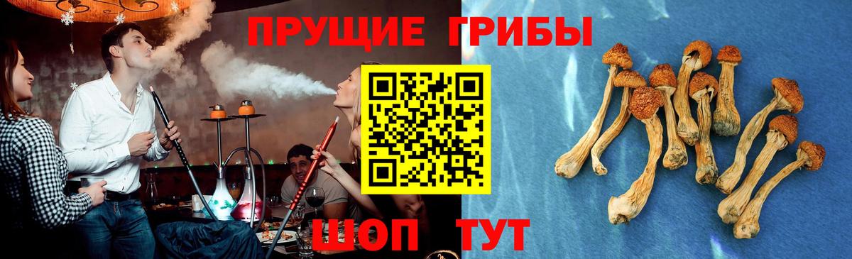 Ижевск  Псилоцибиновые грибы Psilocybine cubensis  Галлюциногенные грибы Magic Shrooms  Вход с VPN 
